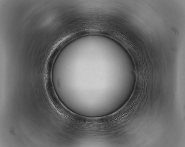 X0000112110728200908041151