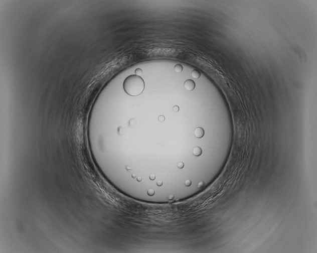 X0000112110729200908041151