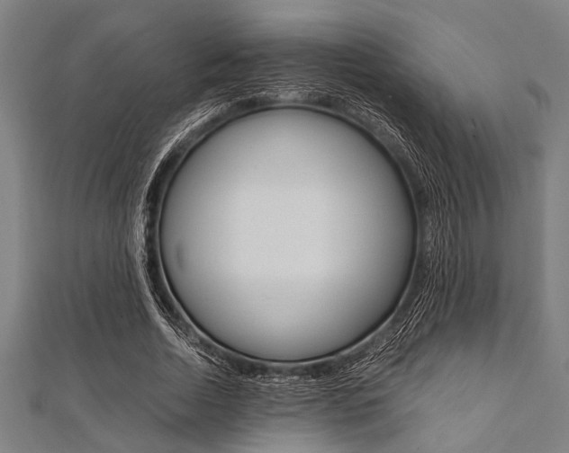 X0000112110730200908041151