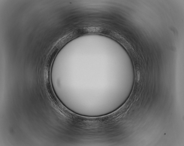 X0000112110733200908041151