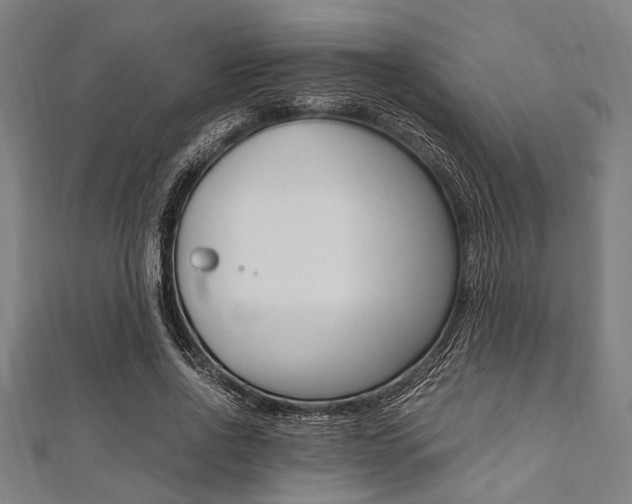 X0000112110734200908041151
