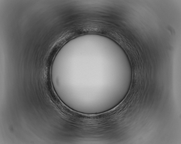 X0000112110735200908041151