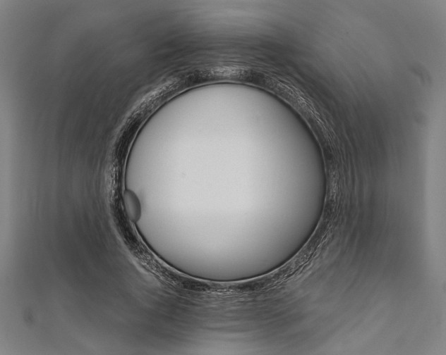 X0000112110736200908041151
