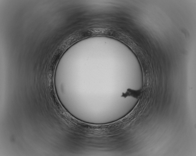 X0000112110737200908041151