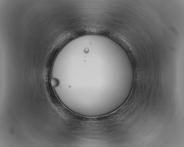 X0000112110738200908041151