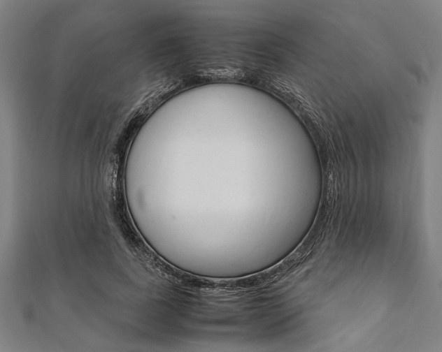 X0000112110739200908041151