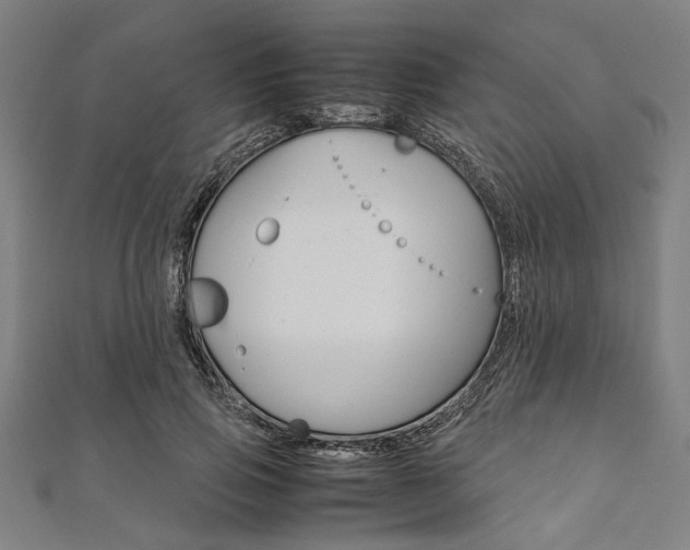 X0000112110741200908041151