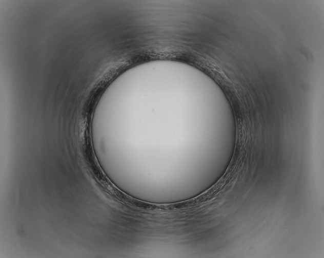 X0000112110742200908041151