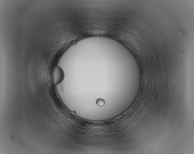 X0000112110743200908041151