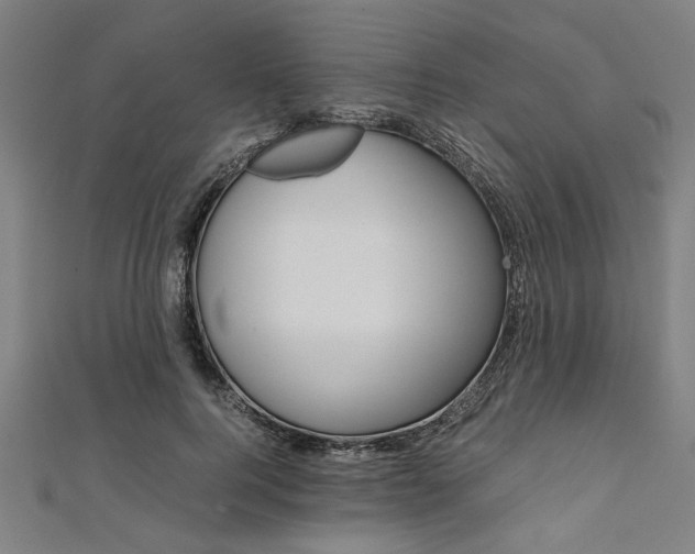 X0000112110744200908041151