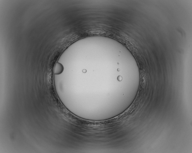 X0000112110745200908041151