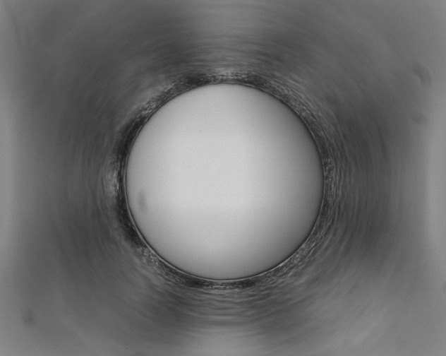 X0000112110746200908041151