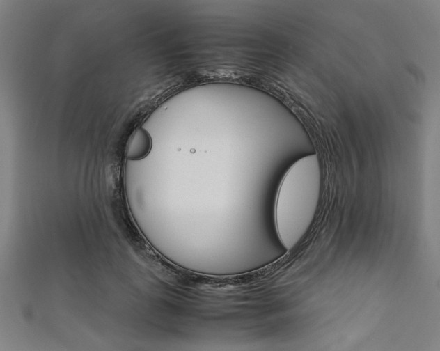 X0000112110747200908041151