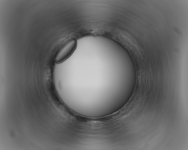 X0000112110748200908041151