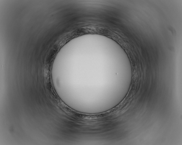 X0000112110749200908041151
