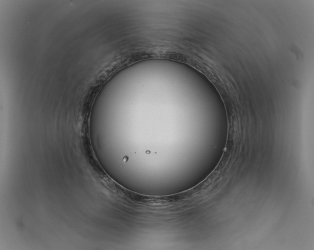 X0000112110750200908041151