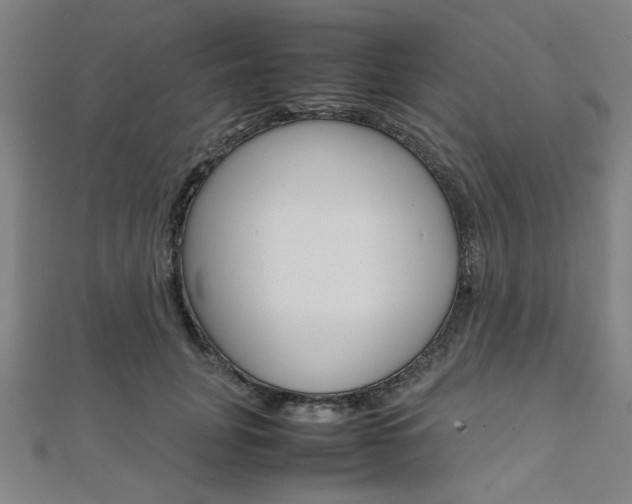 X0000112110751200908041151