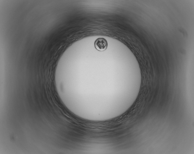 X0000112110752200908041151