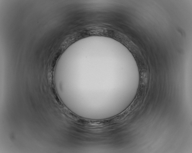 X0000112110753200908041151