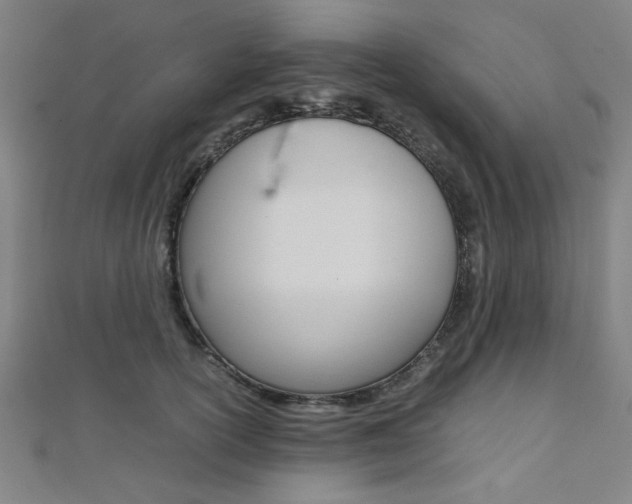 X0000112110754200908041151