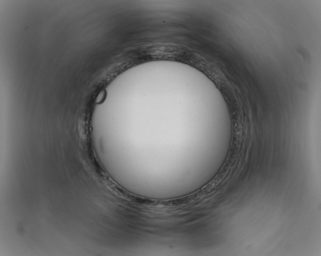 X0000112110755200908041151