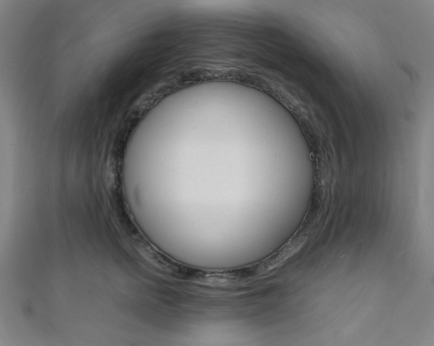 X0000112110758200908041151