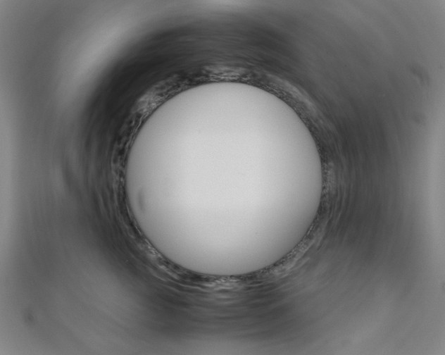 X0000112110761200908041151