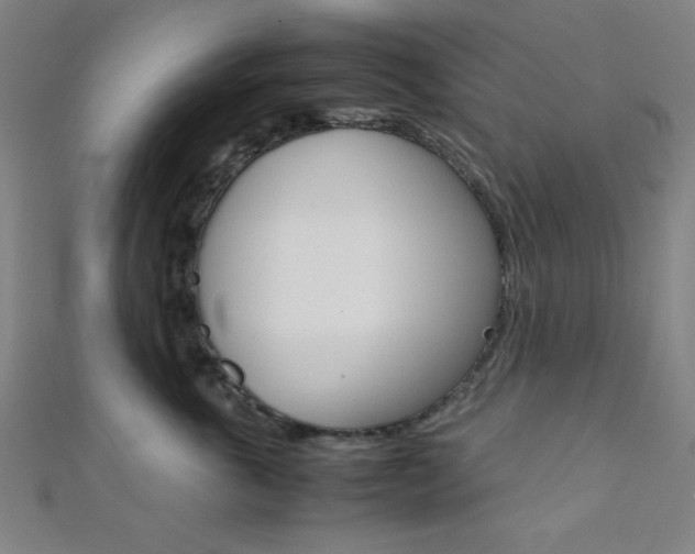 X0000112110763200908041151