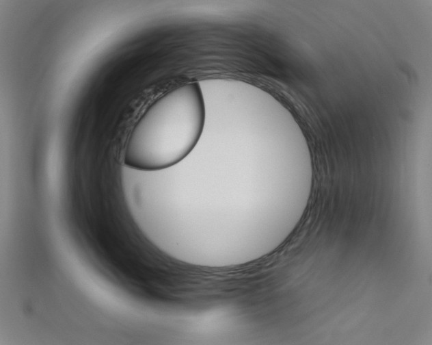 X0000112110764200908041151