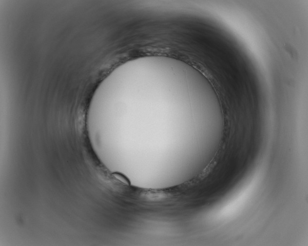 X0000112110767200908041151
