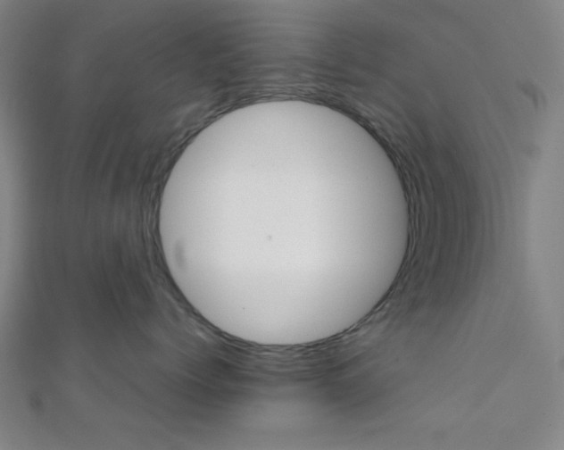 X0000112110768200908041151