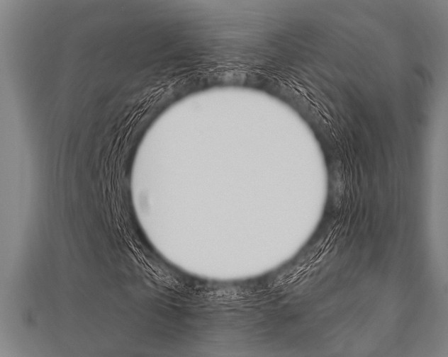 X0000112110769200908041151