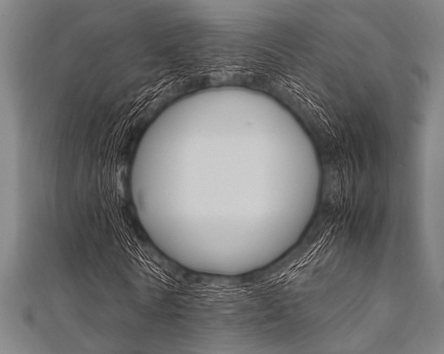 X0000112110770200908041151