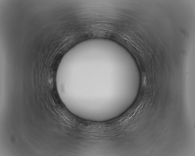 X0000112110771200908041151
