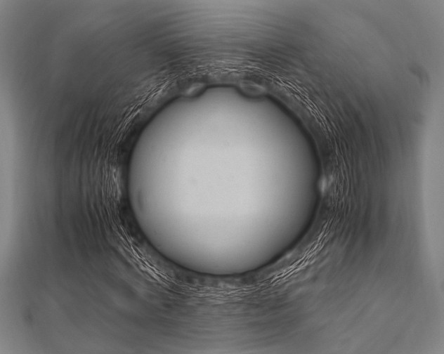 X0000112110772200908041151
