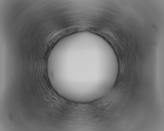 X0000112110773200908041151