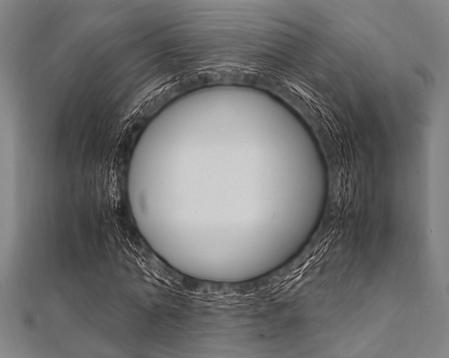 X0000112110774200908041151