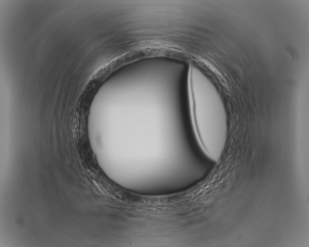 X0000112110775200908041150