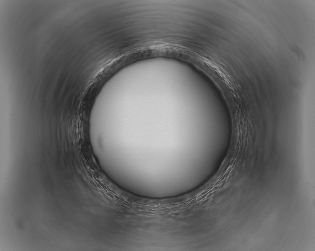 X0000112110776200908041150
