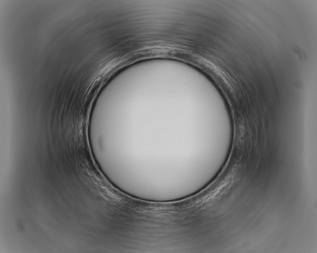 X0000112110778200908041150
