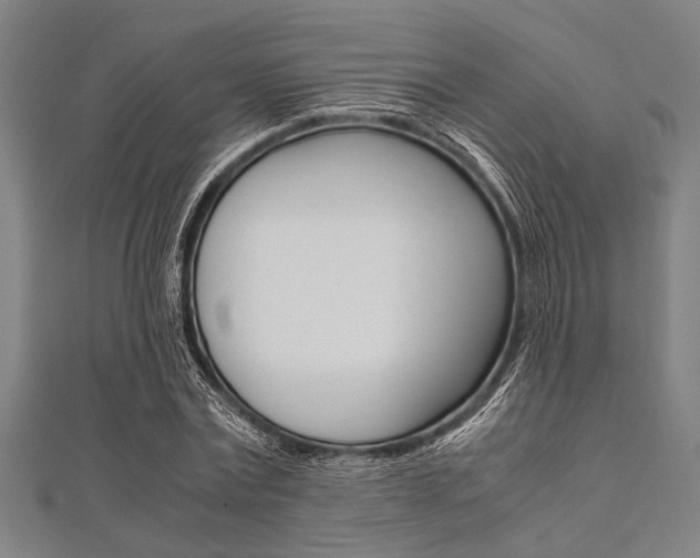 X0000112110779200908041150