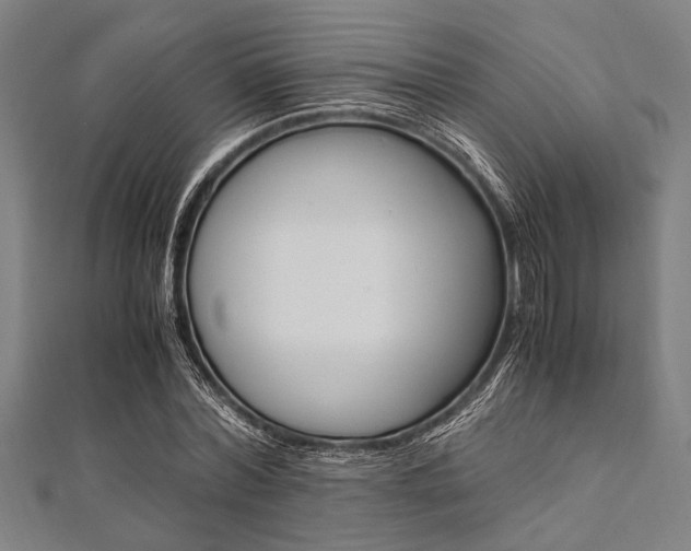 X0000112110780200908041150