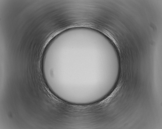 X0000112110781200908041150