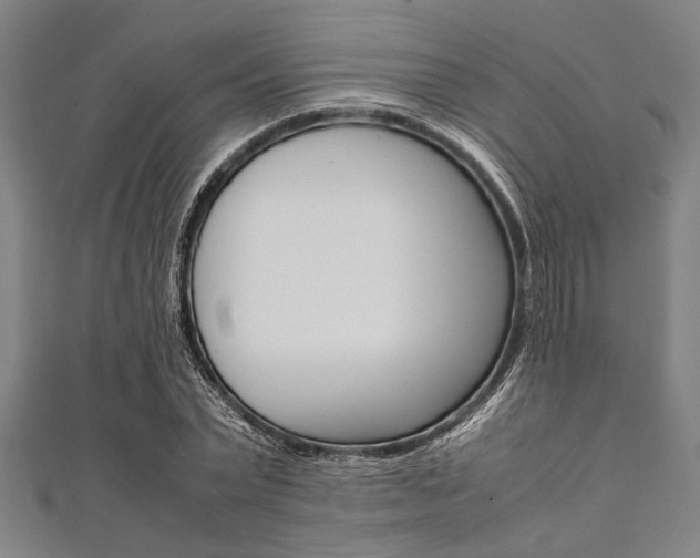 X0000112110783200908041150