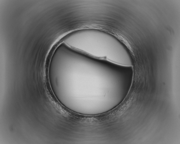 X0000112110784200908041150