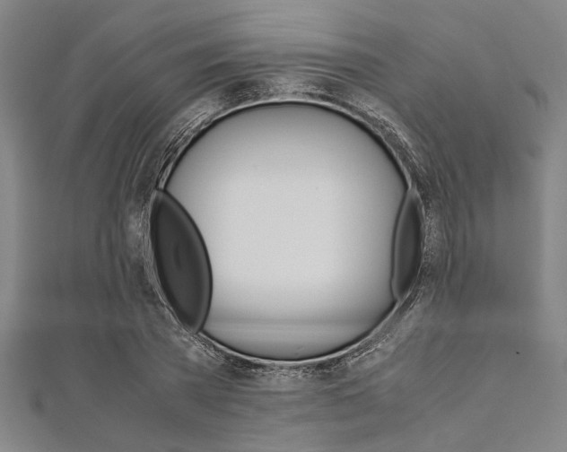 X0000112110785200908041150