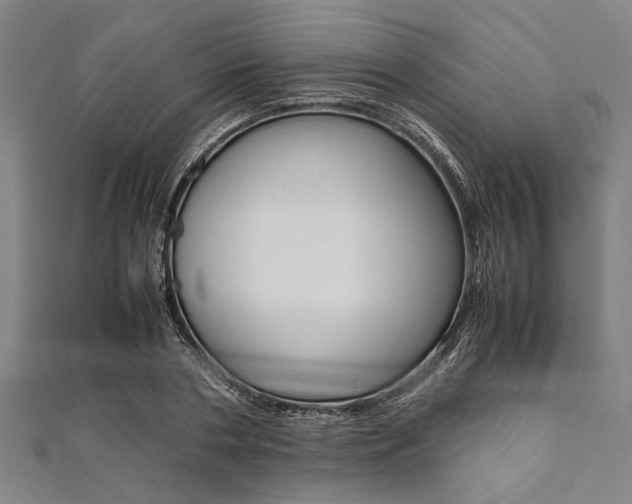 X0000112110786200908041150
