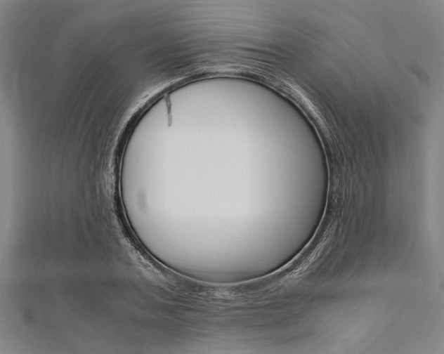 X0000112110787200908041150
