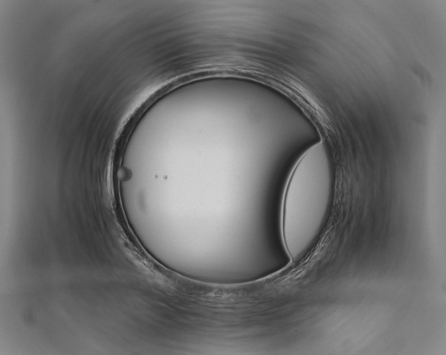 X0000112110788200908041150