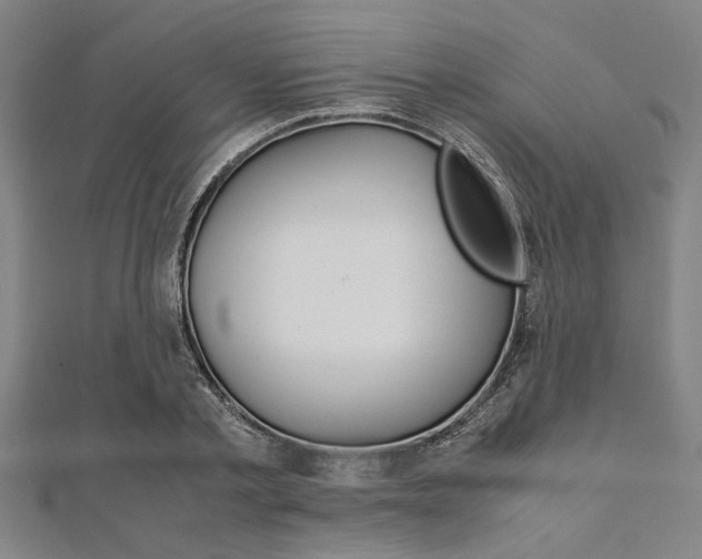 X0000112110789200908041150